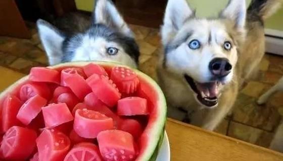 不给吃瓜的下场,拒绝吃瓜的惊人后果