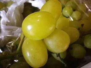 精品国产吃瓜,品味精品，畅享视听盛宴