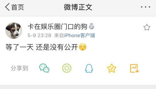 吃瓜最劲爆爆料,吃瓜最劲爆爆料大揭秘