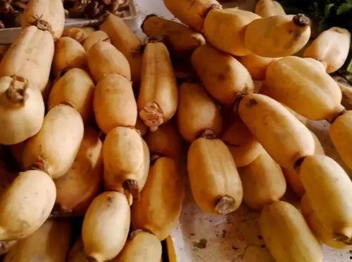 吃瓜吃累了吃藕吧图片,来份清甜藕韵